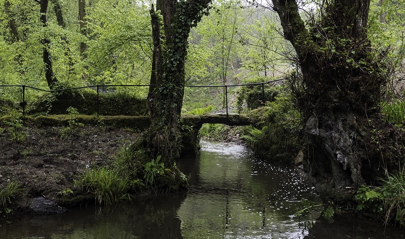 Village Bridge
